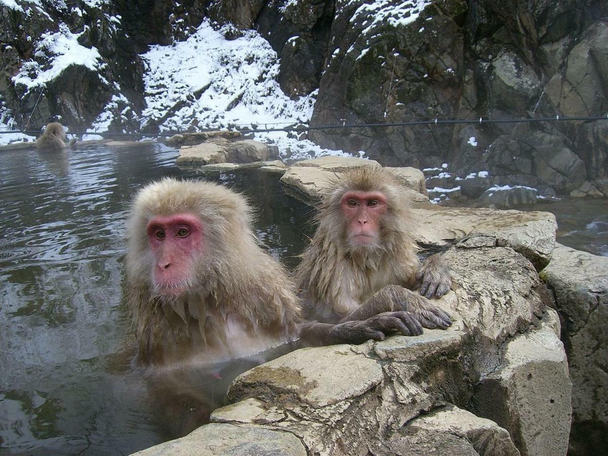 Hana Emi Kan Hakuba Esterno foto